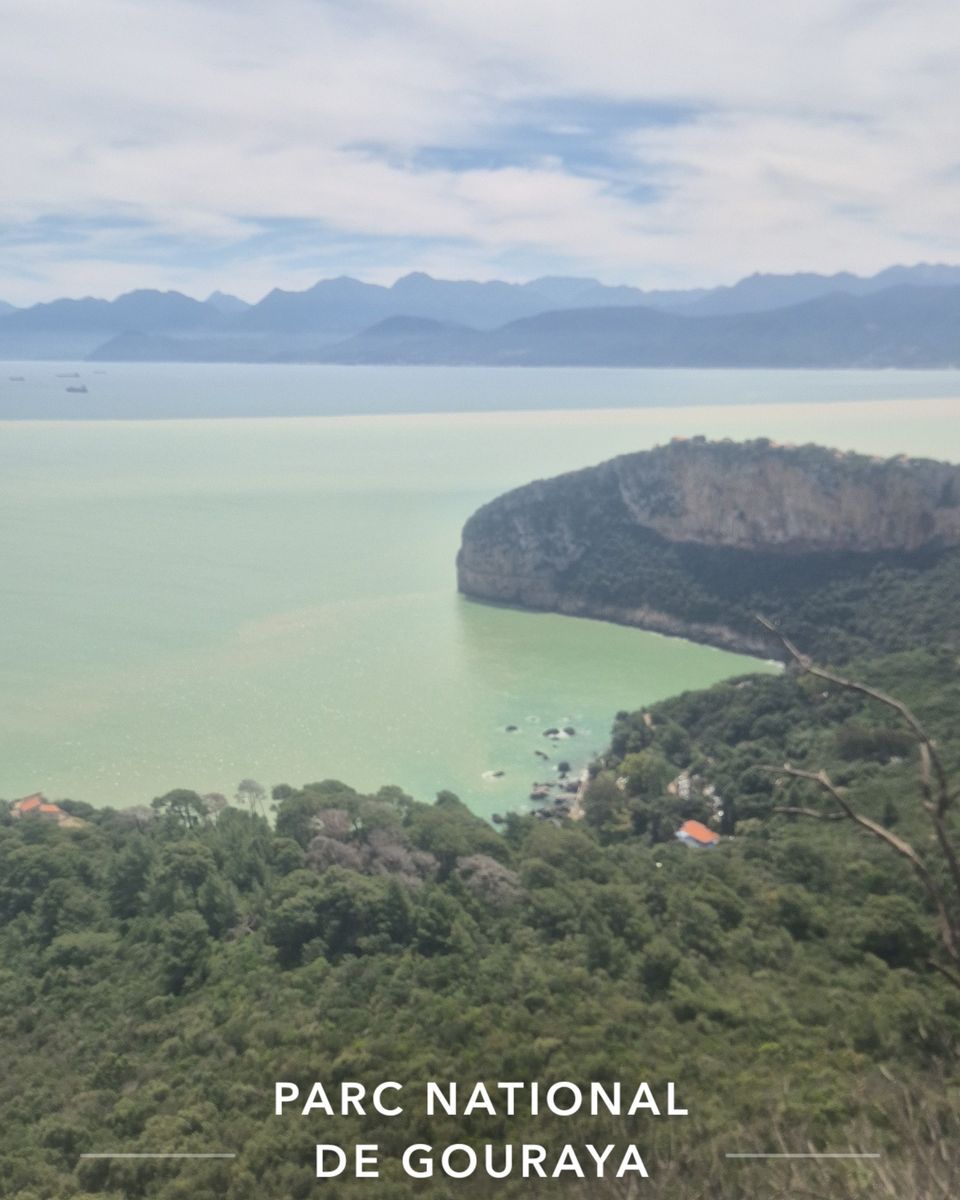 La baie de Béjaïa et un cap boisé, vus depuis le parc national de Gouraya, avec les montagnes au loin