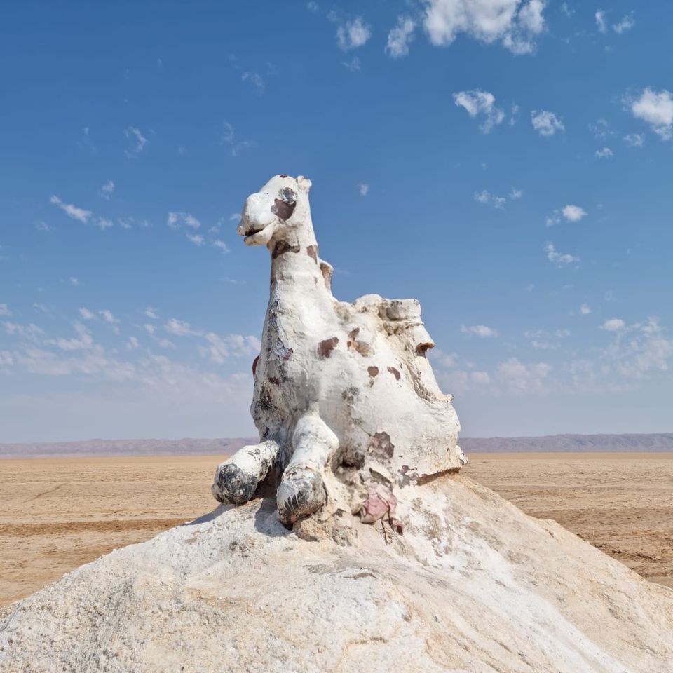 Une sculpture de chameau en cristaux de sel blanc, sur fond de lac salé et de ciel bleu