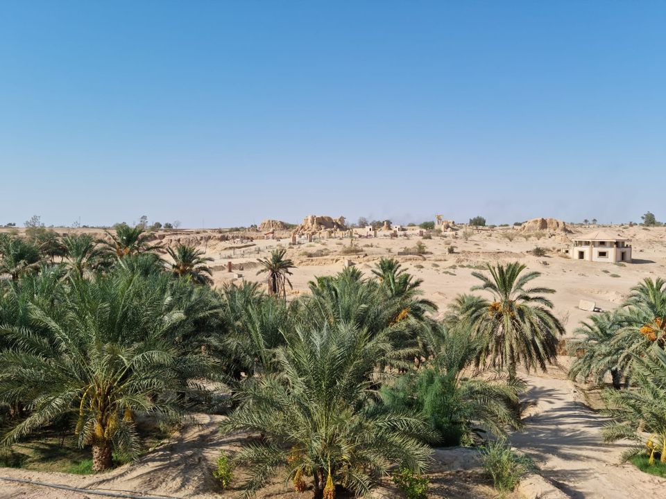 Une palmeraie verte au pied de rochers ocre, sous un ciel bleu